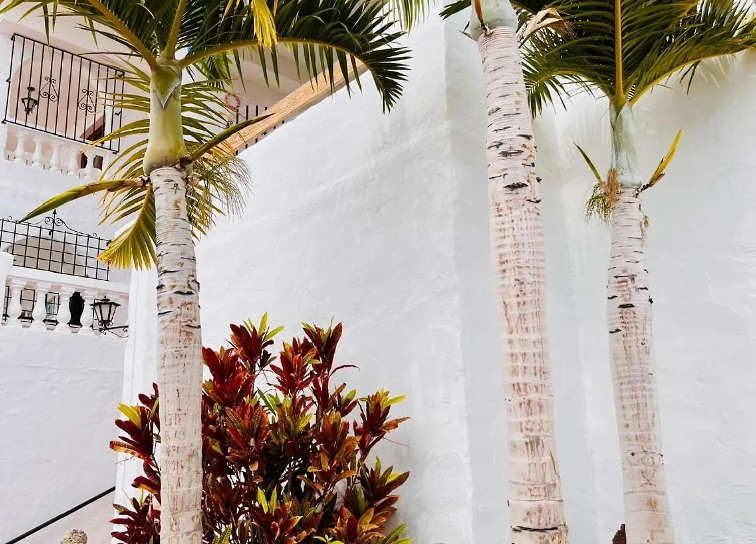 Cozy Sunset View Studio At Port Royale With Heated Pool And Free Wi-Fi アロナ スペイン